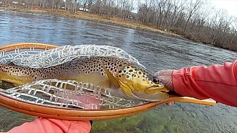 One and Done #Whiteriver #Arkansas #Browntrout #FlysandGuides