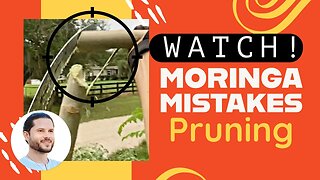 Don’t Make These Moringa Pruning Mistakes For Better Tree Health & Longevity