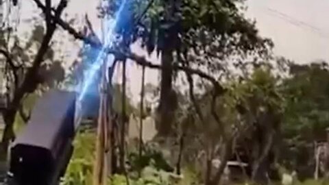 Chinese workers use laser guns to trim trees