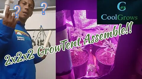 CoolGrows Growtent Set up (2x2x2 for Hiding in Plain Sight!) Like a Botany Mini Fridge!