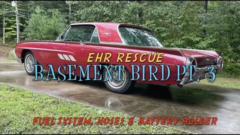 EHR Rescue Basement Bird pt 3