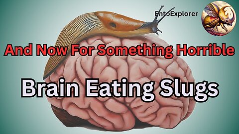 And Now For Something Horrible - Slugs that Destroy Your Brain