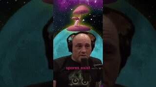 Joe Rogan's Theory that mushrooms are from outer space and that they caused human evolution #shorts