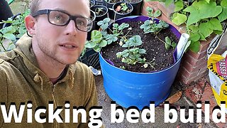 Simple DIY 55 gallon drum wicking bed build