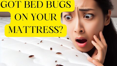 How To Get Rid Of Bed Bugs On Mattress?
