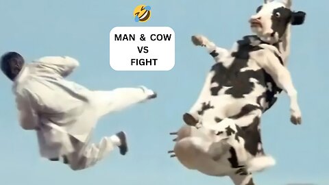 Kung Pow: Enter the Fist Cow Fight Please followe me