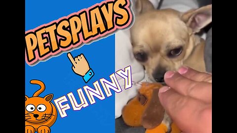Laugh out loud with this compilation of pets reacting to sneezes!