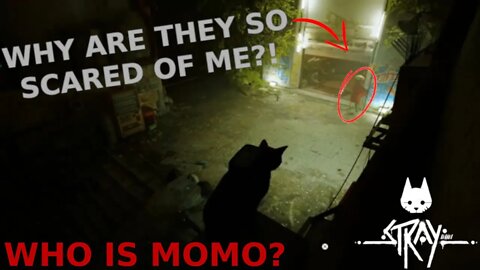 What is a Zurk and Who is Momo?! - Stray Ep 2