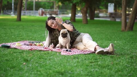 Cheerful girl laying on plaid on lawn in a park and making notes while little pug sitting next to h