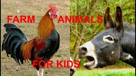 The best animal sounds for children - FARM ANIMAL SOUNDS FOR KIDS