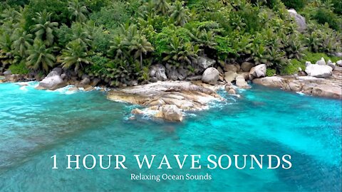 1 Hour Wave Sounds on Rocky Shore - Relaxing Ocean Sounds to Sleep, Yoga, Study, Focus, Reduce Stress, Reduce Anxiety and Beat Insomnia