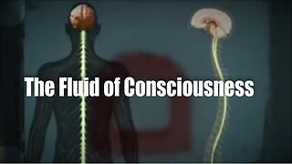 The Fluid of Consciousness