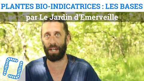 Les bases des plantes bio-indicatrices, par le Jardin d'Emerveille