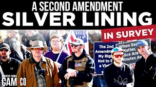 A Second Amendment Silver Lining in Civics Survey?