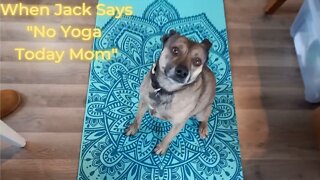 Ep. 3 - Jack the Adventure Pup Says No Yoga Today Mom! It’s Adventure Treat Time!! (2/20/22)