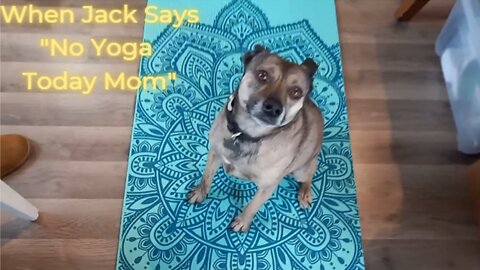 Ep. 3 - Jack the Adventure Pup Says No Yoga Today Mom! It’s Adventure Treat Time!! (2/20/22)