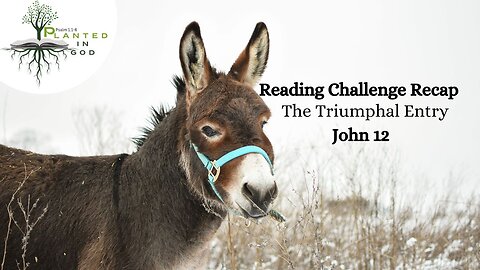 When Jesus was Anointed for His Death | John 12 | Reading Challenge Recap