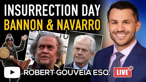 Insurrection Episode #1 Debrief; Bannon Amicus; Navarro Needs a Lawyer