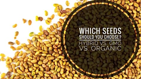 THE DIFFERENCE BETWEEN SEEDS. HEIRLOOM VS. ORGANIC. GMO VS. HYBRID | Gardening in Canada