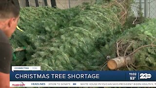 How the national Christmas tree shortage affects Bakersfield