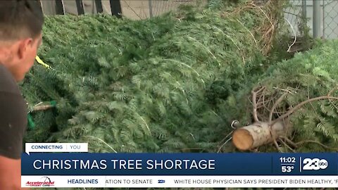 How the national Christmas tree shortage affects Bakersfield