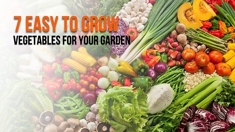 7 Easy to Grow Vegetables for Your Garden | Beginner's Guide to Bountiful Harvests