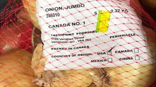 Canada's Salmonella Onion Situation Is Growing With Another New Brand Recalled