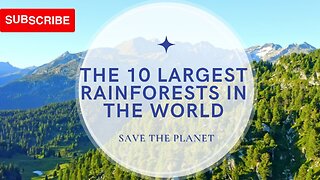 10 Largest Rainforest in the world #protectwildlife