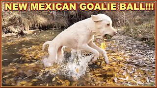 New Mexican Goalie Ball!!!