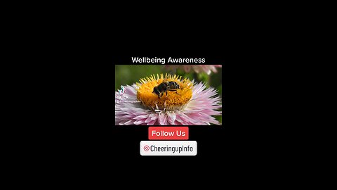 Wellbeing Awareness