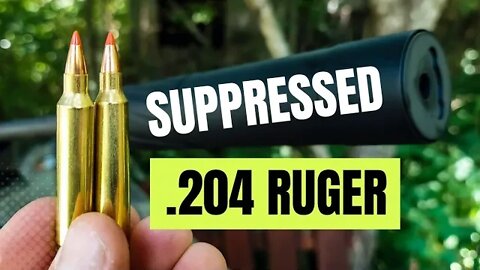 .204 Ruger Suppressed 🤫🤫🤫 [Banish 30 Gold + Ruger American]