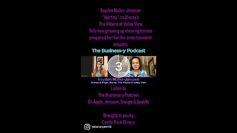 The Business-y Podcast Ep 15 Kayden Muller-Janssen, Disney’s The Villains of Valley View