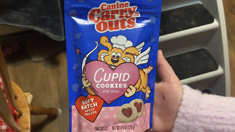 Canine Carry Outs Cupid Cookies Dog Treat Review