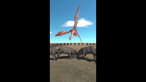 200 Buffalo vs Wyvern