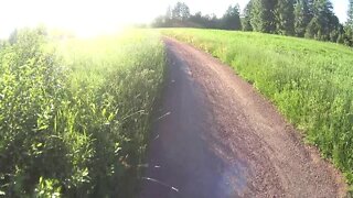 Sunny and hot evening cycling 23.6.2020