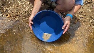 Panning For Gold At Reedy Creek