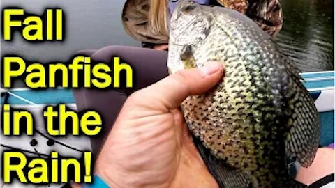 Crappie Fishing in the COLD! - Fall Fishing