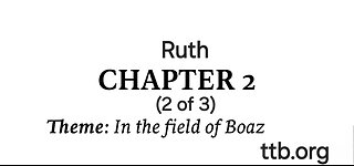 Ruth Chapter 2 (Bible Study) (2 of 3)