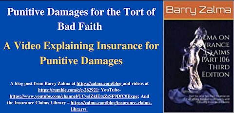 Punitive Damages for the Tort of Bad Faith