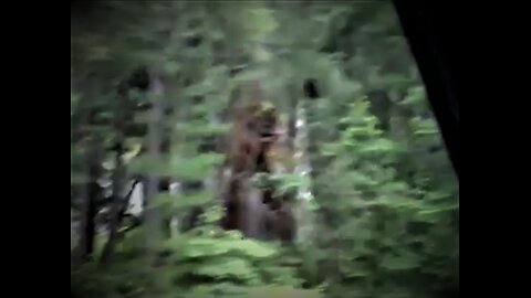 World Bigfoot TV/Montana Bigfoot Project ~ June 2023 Field Report/ Bigfoot in 3 Mountain Ranges