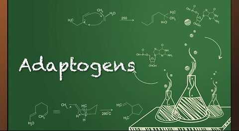 Have You Ever Heard Of Adaptogens?