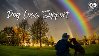 Rainbow Bridge Remembrance Day - Dog Loss Support