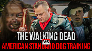 The Walking Dead vs American Standard Dog Training