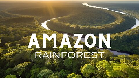 Into the Amazon: An Epic Adventure Through the Jungle's Heart