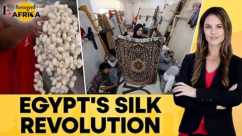 Modern-Day Silk Revolution Booms Carpet Business In Egypt's Beheira| Firstpost Africa | VYPER