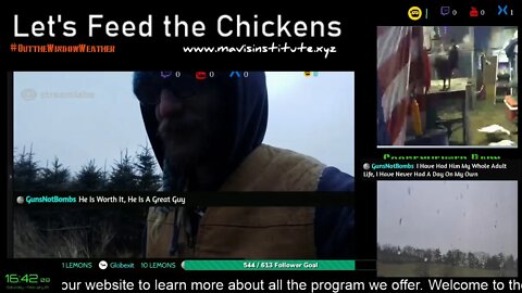SuperBowl Prop Bets, Virus, Pig Pen Updates : Let's Feed the Chickens : EP 43 :