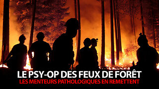 PSY-OP DES FEUX DE FORÊT - LES MENTEURS PATHOLOGIQUES EN REMETTENT