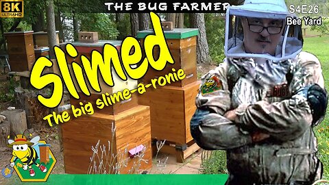 Hive Beetles and Wax Moths | When a hive gets slimed. #beekeeping #bees #8K