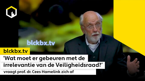 ‘Wat moet er gebeuren met de irrelevantie van de Veiligheidsraad?’ vraagt prof. dr. Cees Hamelink zich af