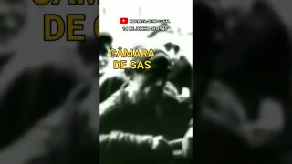 82 ANOS DE AUSCHWITZ - Uma triste e difícil história. #shorts #curiosidades